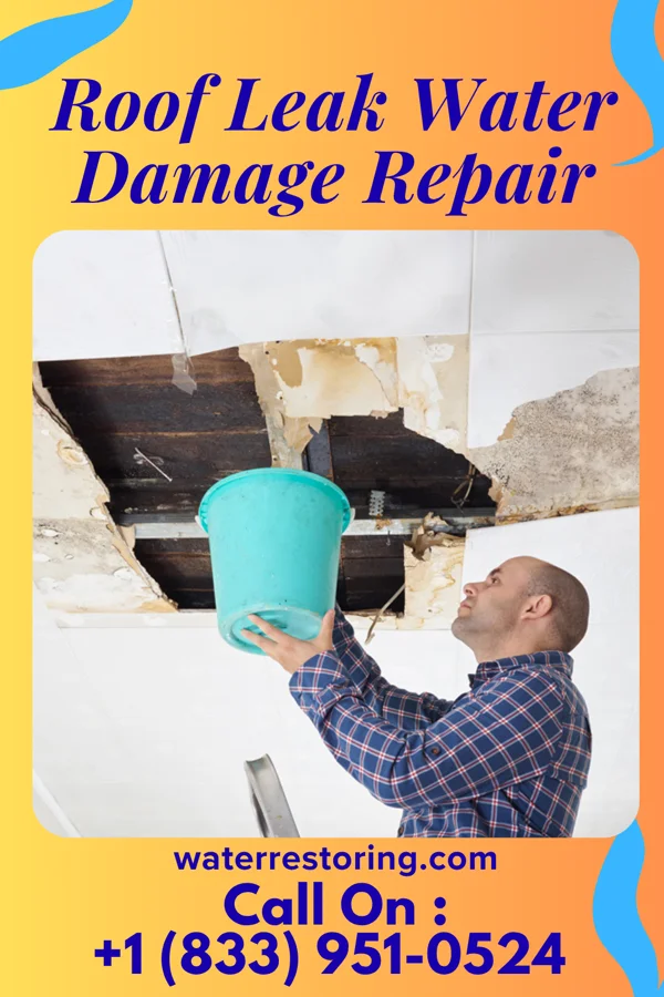 Roof Leak Water Damage Repair in Avery, TX